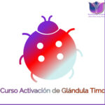 Curso de activación de la Glándula Timo